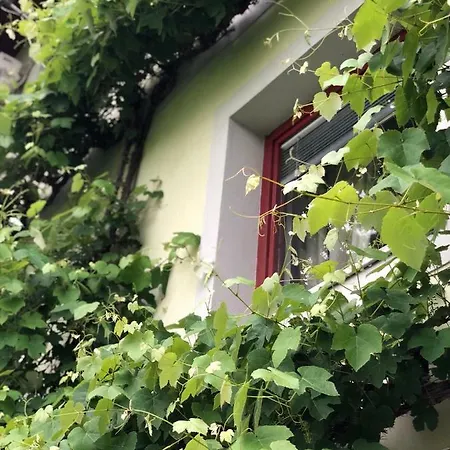Vila Duem Apartma