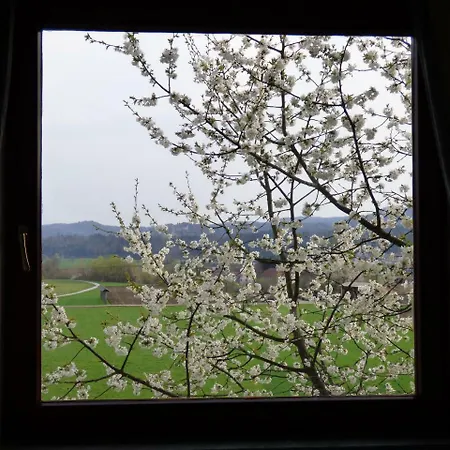 Vila Duem Ljubljana